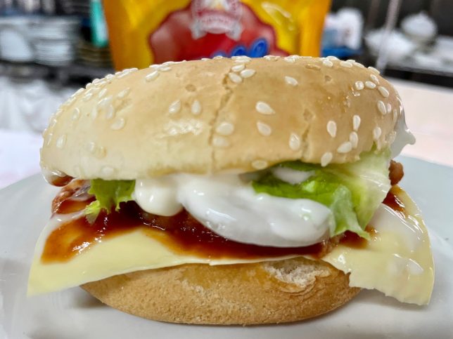 A burger on a plate